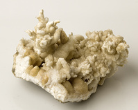 M 00046
<br/>
<br/>
<em></em>